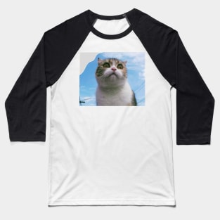 The chubby cute cats Baseball T-Shirt